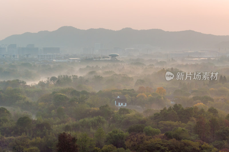 杭州秋天 西溪湿地 手摇船 湿地博物馆