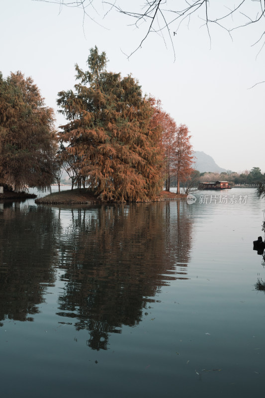 杭州湘湖水杉林平静的湖面壁纸竖屏
