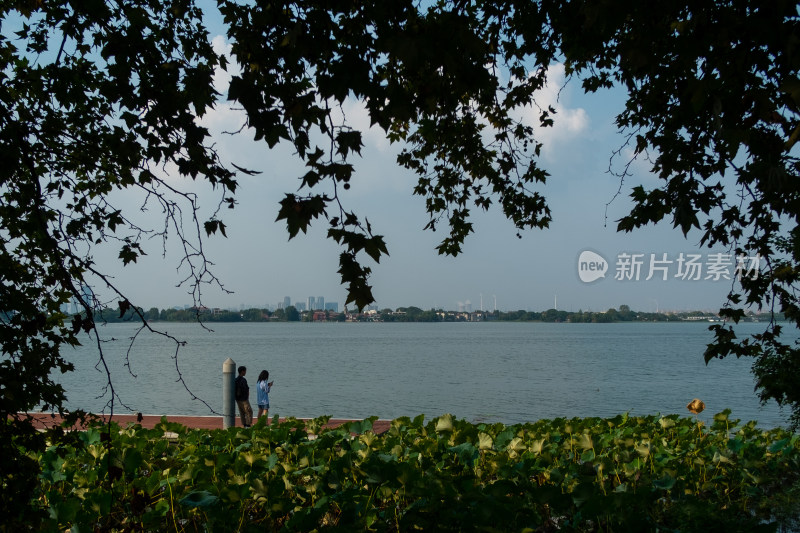 湖边绿叶下的行人与远景城市风景