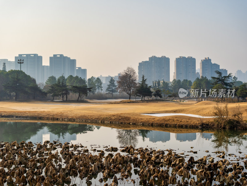 冬季的武汉金银湖国际高尔夫球场