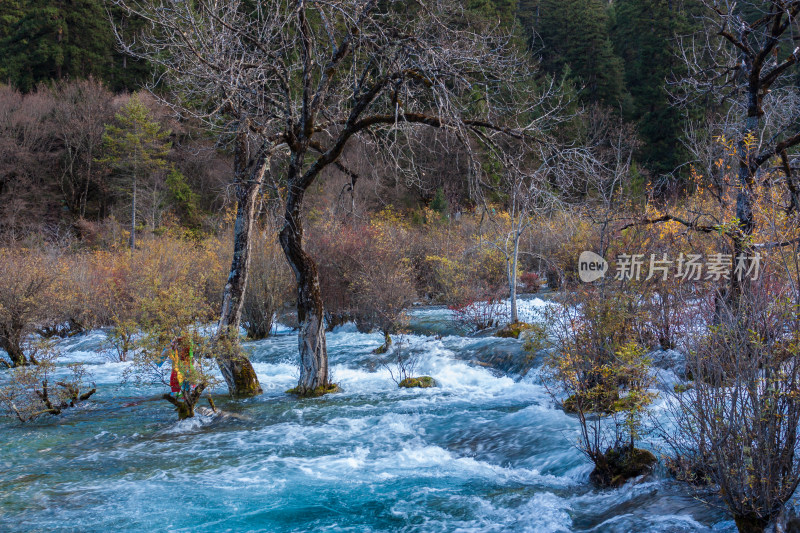 秋天的四川阿坝州九寨沟树正瀑布景点