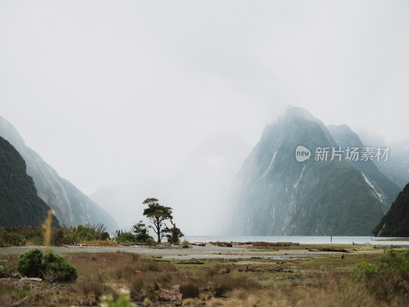 新西兰米佛峡湾Milford Sound