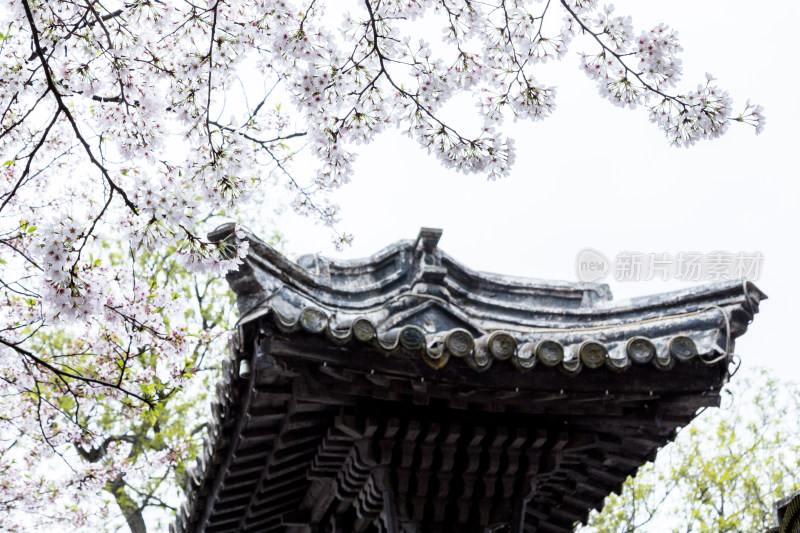 江苏无锡鼋头渚风景区