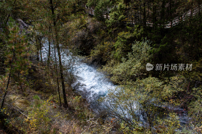 九寨沟秋色山林溪流