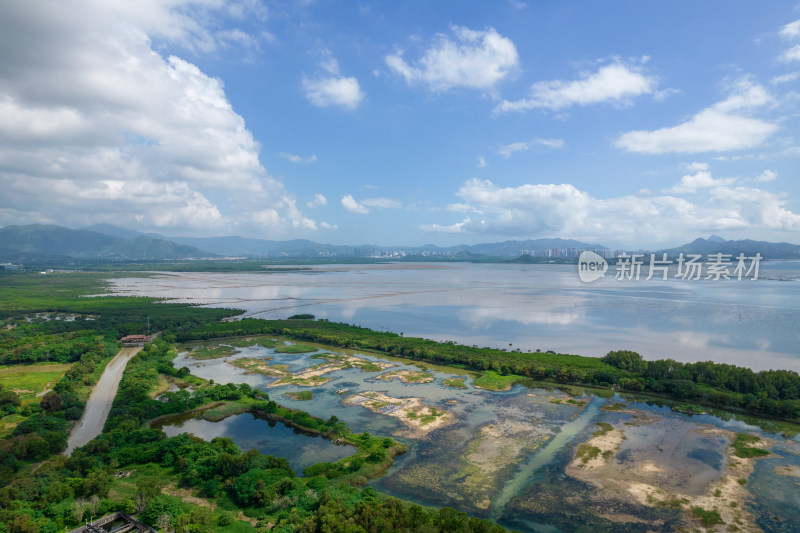 深圳福田红树林保护区