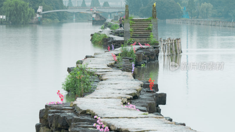 绍兴江南水乡避塘风景