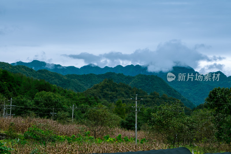 汉中留坝火烧店镇秦岭深处的山村田园风光