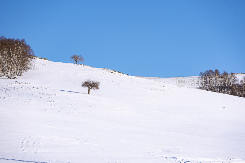 冬天的草原雪景