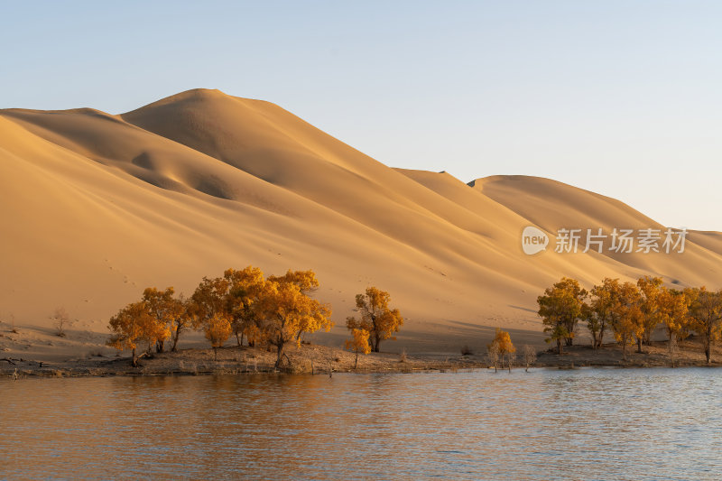 新疆巴州罗布湖塔塔秘境沙漠水上胡杨林