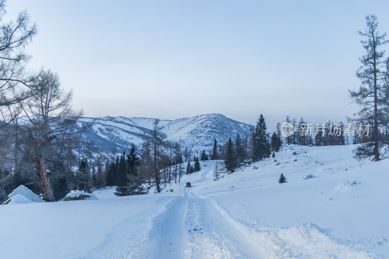 新疆喀纳斯雪景晨雾雪山森林雾凇