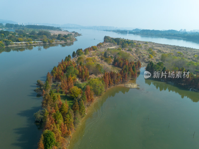 福州多彩树林沿水域分布的自然风景航拍