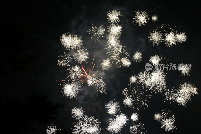 夜空中绽放的烟花