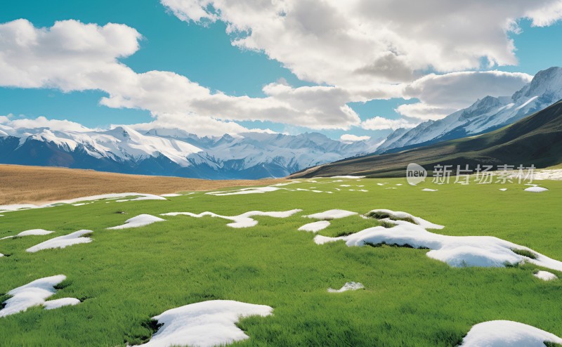 森林高山草原风景