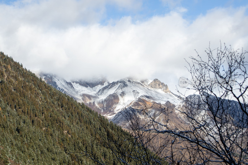 四川黄龙景区雪山松林云雾缭绕的冬日胜景