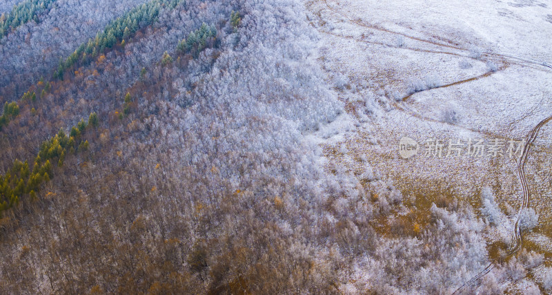 山林雪景航拍图