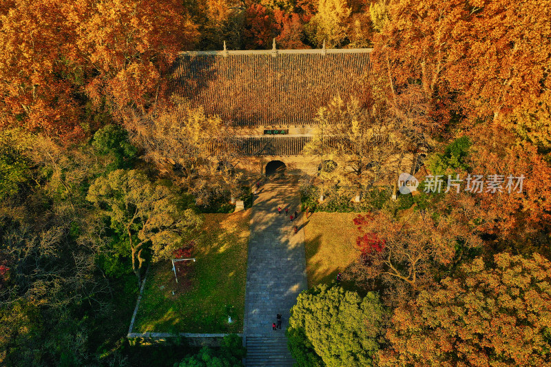 秋天的灵谷景区