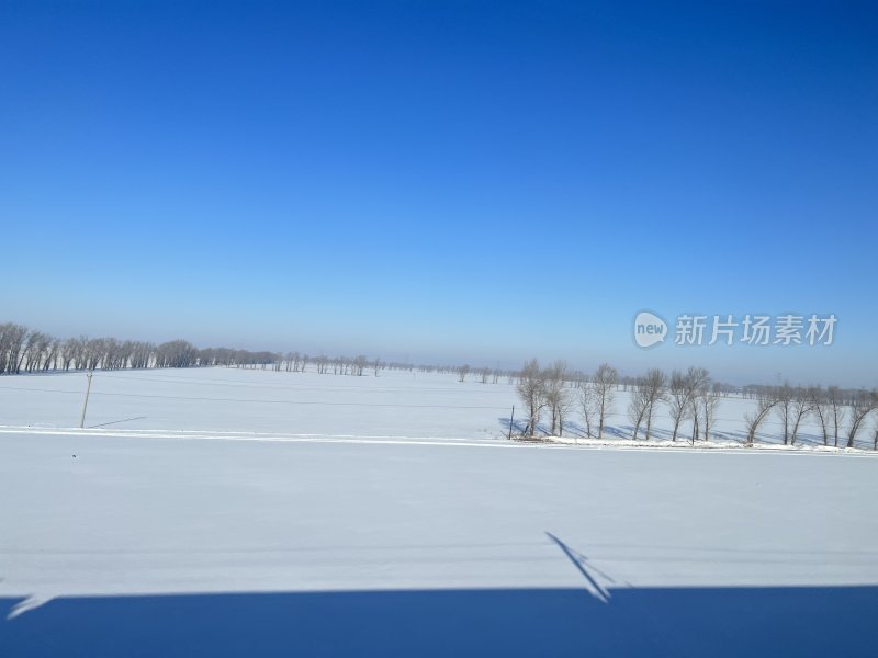 冬日暖阳下的无际雪景