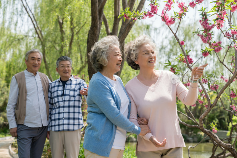 老年夫妻旅游