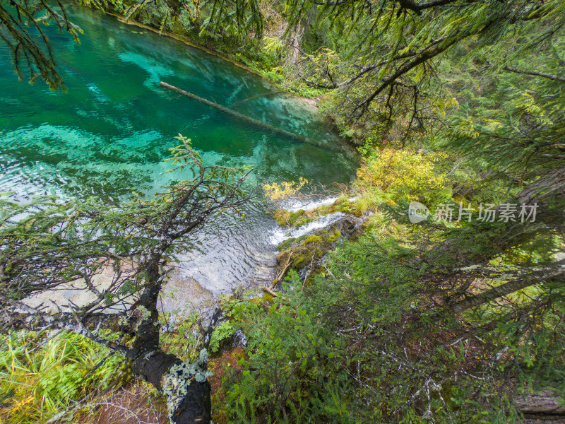 静谧的森林与湖景