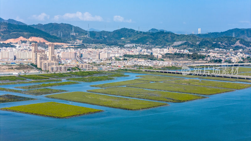 惠州市盐洲海洋湿地公园-红树林航拍