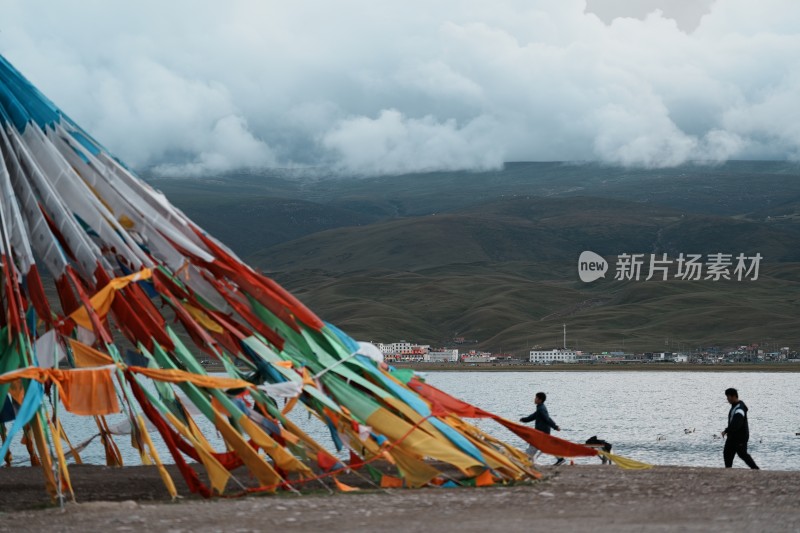 黑马河青海湖