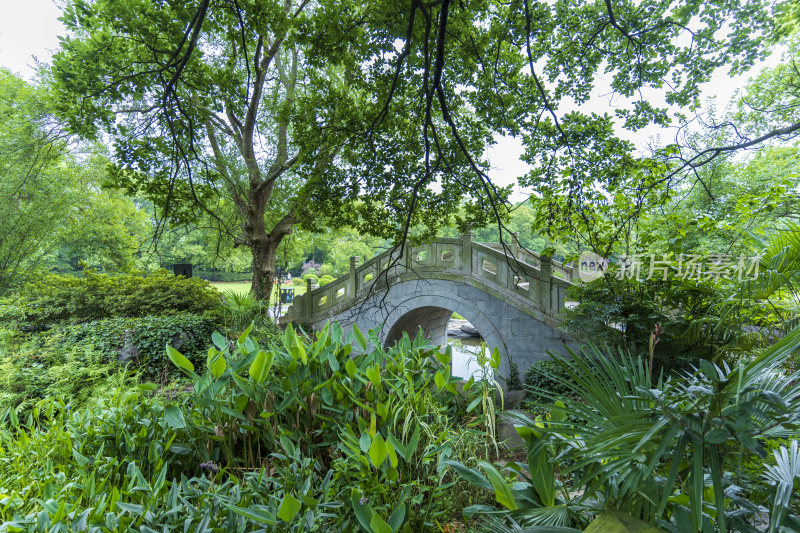 武汉东湖磨山景区风光