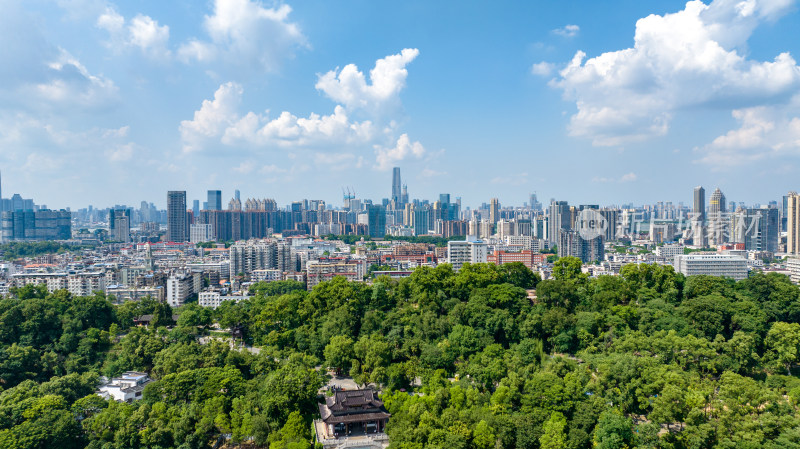 武汉城市森林景观与林立高楼相映成趣