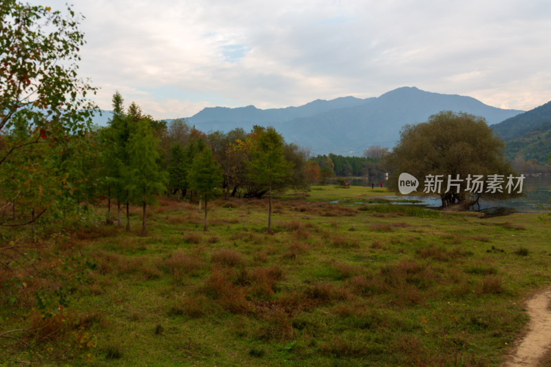 山野间草地树林与远山风景