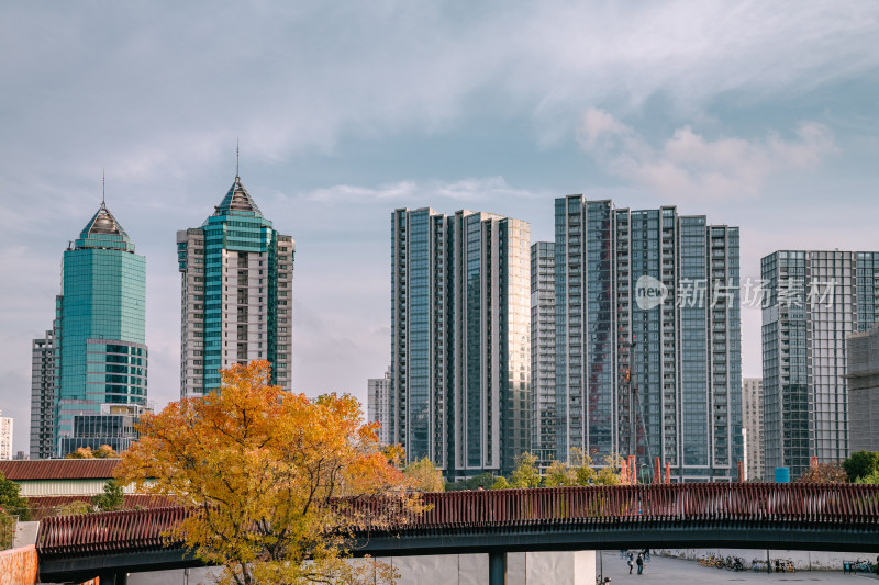 上海市区风景