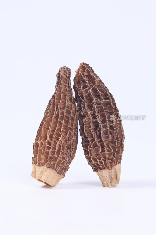 羊肚菌干 野生菌 干羊肚菌 干货 松茸菌