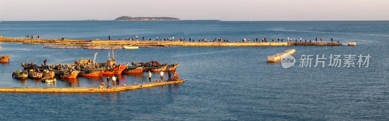 青岛海滨垂钓