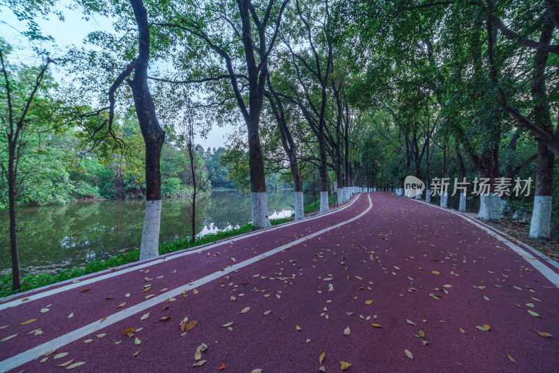 广州番禺大夫山森林公园树林红色景观跑道