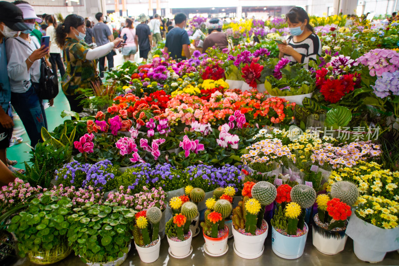 色彩斑斓的花卉市场