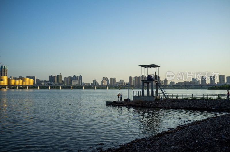 城市高楼背景下的湿地自然景观