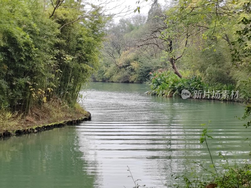 两岸植被茂盛的河流自然风景