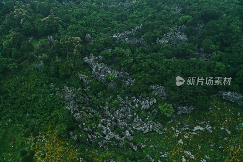 江西景德镇怪石林