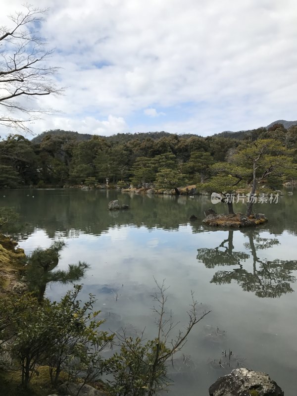 静谧湖水倒映树木的自然景观