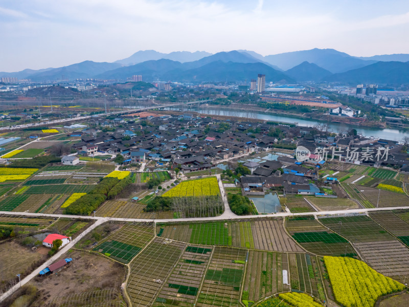 山川湖泊美丽乡村油菜花航拍图