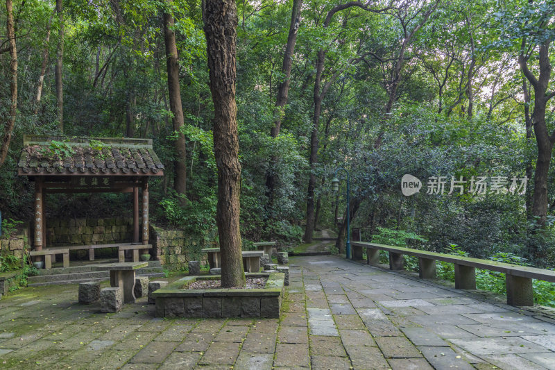 杭州宝石山景区银鼓洞风景