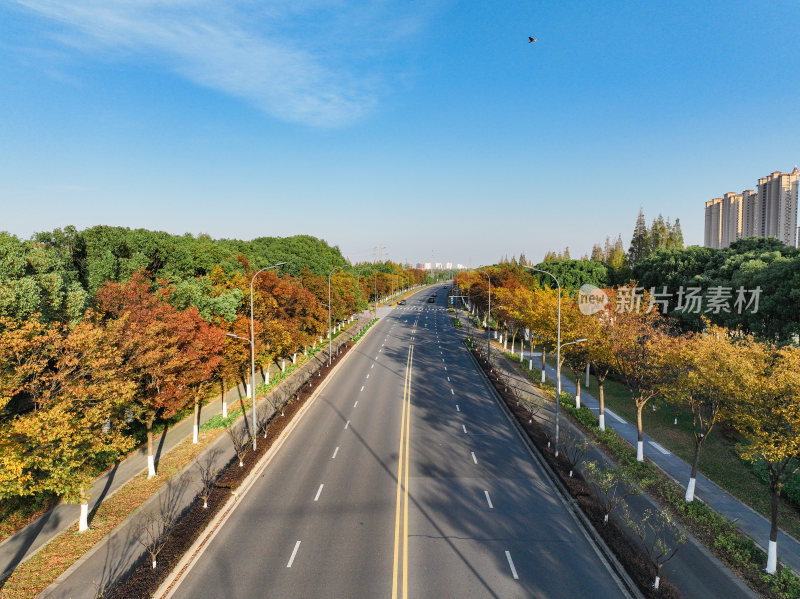 航拍道路上的秋冬景观