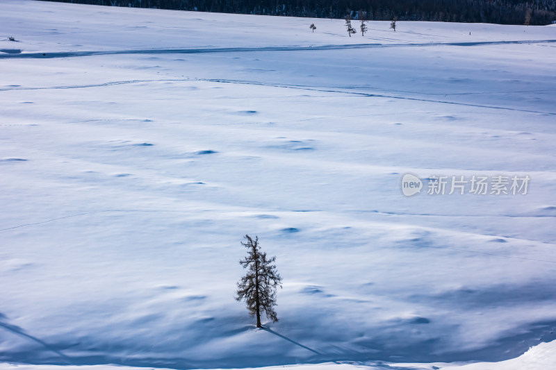 新疆阿勒泰喀纳斯冬季雪景