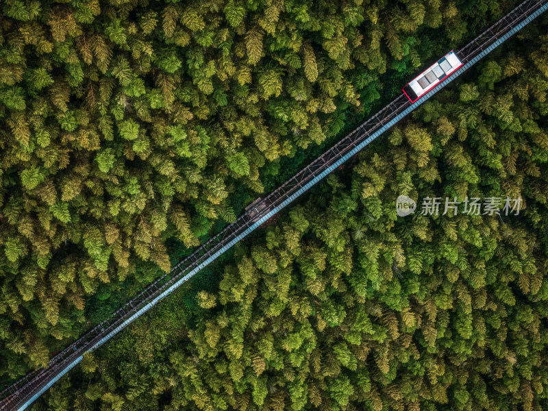 夏季航拍常州溧阳天目山南山竹海景区小火车