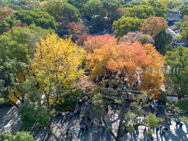 苏州虎丘塔航拍全景