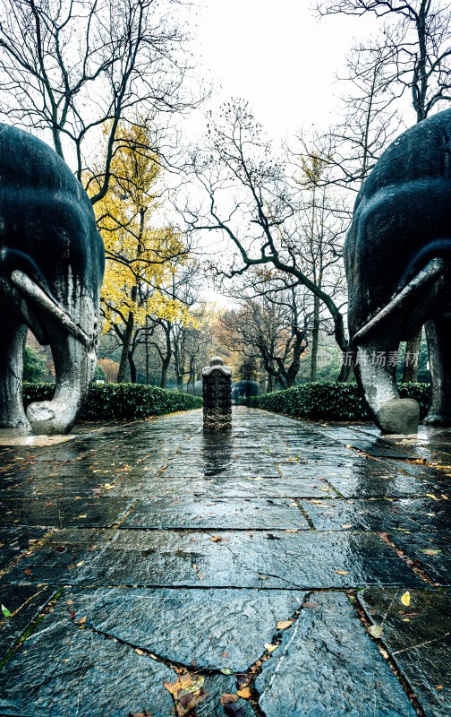 秋日石象景观小道雨中明孝陵