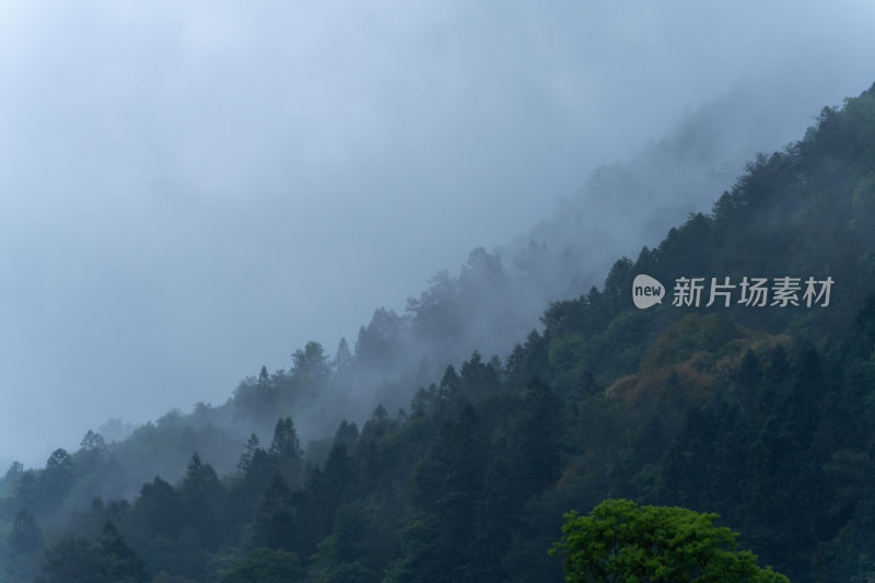 中国意境国风水墨山水云雾日出森林茶园