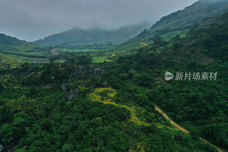 江西景德镇怪石林