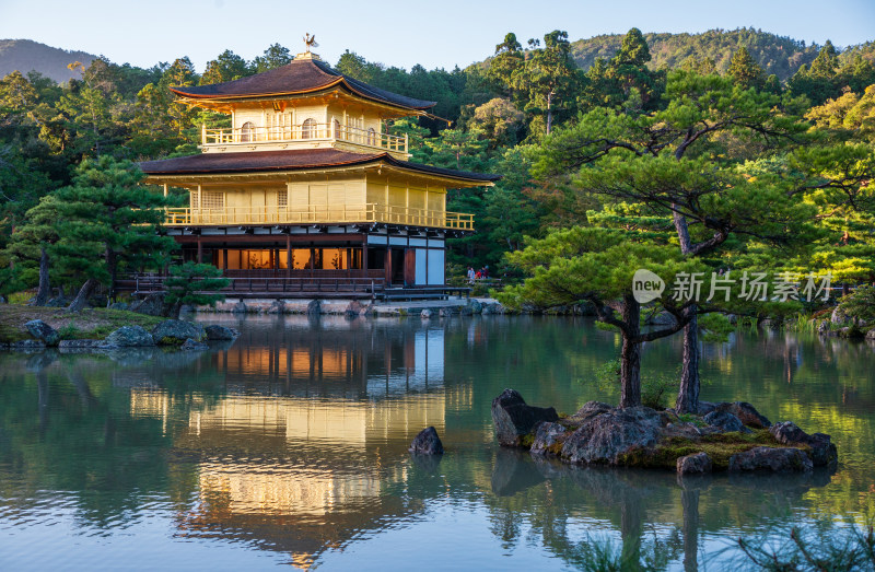 日本京都金阁寺金色舍利殿近景特写