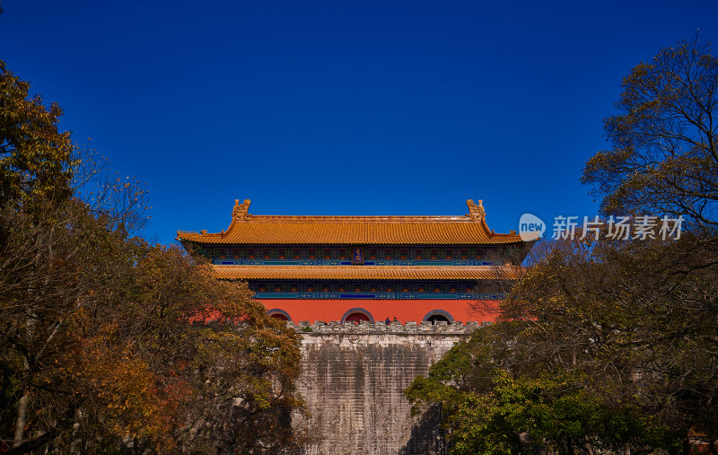 南京明孝陵的秋天