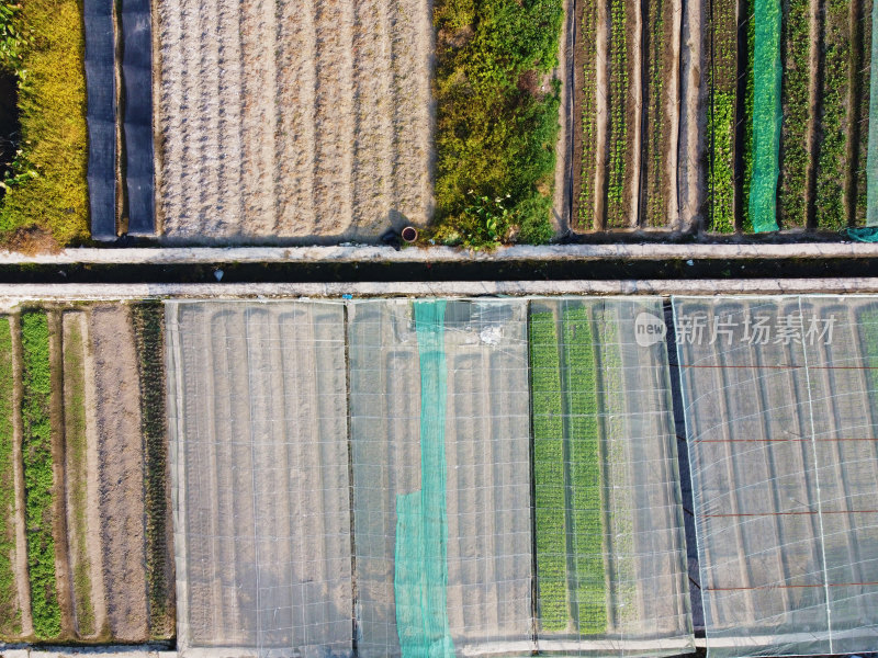 农田航拍俯瞰全景