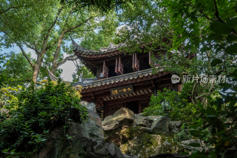 中式风格的古建筑园林上海青浦曲水园景色